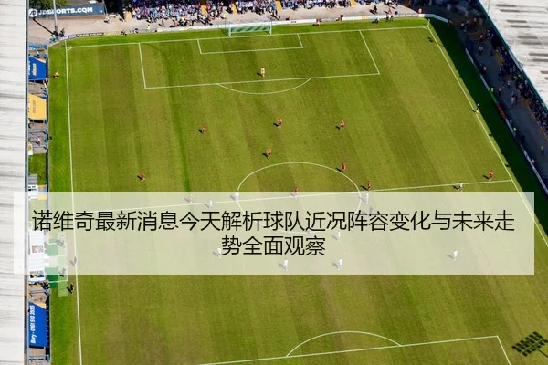 诺维奇最新消息今天解析球队近况阵容变化与未来走势全面观察